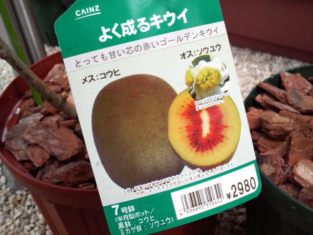 20090517-01 紅妃ラベル