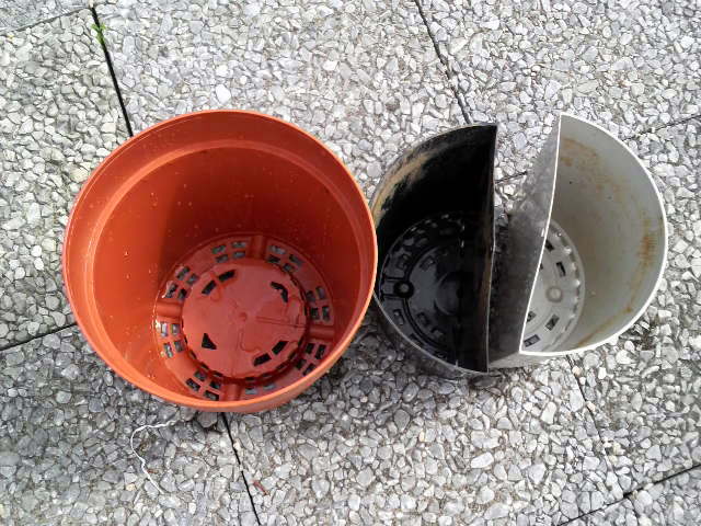 20090517-03 寄せ植えポット