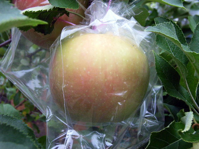 R0011843